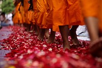 Monks walking on flower petals. Free public domain CC0 image.