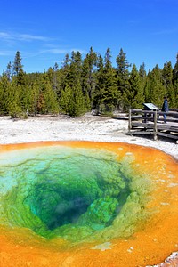 Yellowstone geothermal geology pool. Free public domain CC0 photo.