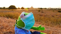 Kermit wearing mask. Free public domain CC0 image.