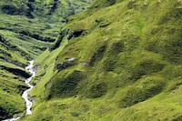 Small canal near green moss. Free public domain CC0 photo.