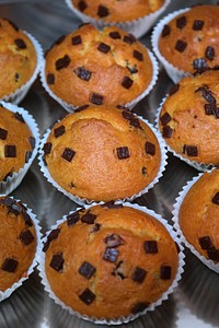 Chocolate chip cupcake. Free public domain CC0 photo.