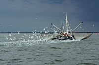 Fishing boat sailing. Free public domain CC0 photo.