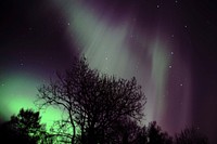 Northern light. Free public domain CC0 image.