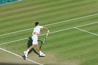 Novak Djokovic on tennis court, Wimbledon, London, August 17, 2016. View public domain image source here