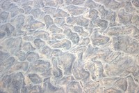 Stone texture. Free public domain CC0 photo.