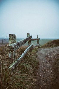 Rural road, nature. Free public domain CC0 image.