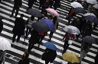 Pedestrians on zebra crossing. Free public domain CC0 photo.