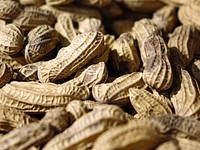 Pile of peanuts. Free public domain CC0 photo