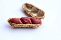 Open peanut on white background. Free public domain CC0 image