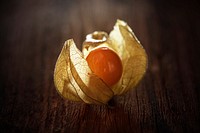 Closeup on physalis fruit. Free public domain CC0 image. 