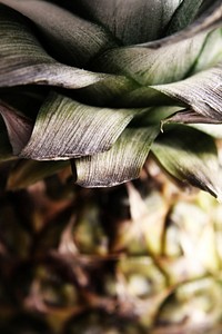 Closeup on pineapple fruit. Free public domain CC0 image. 