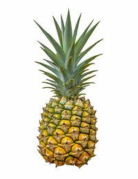 Pineapple fruit on white background. Free public domain CC0 image. 