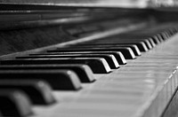 Black and white piano key. Free public domain CC0 image.