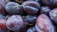 Pile of plum fruit. Free public domain CC0 photo.