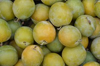 Pile of plum fruit. Free public domain CC0 photo.