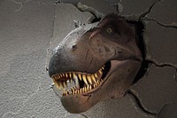 Dinosaur. Free public domain CC0 image.