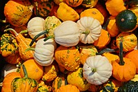 Variety of pumpkins in a pile. Free public domain CC0 photo.