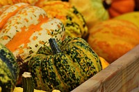 Variety of pumpkins in a pile. Free public domain CC0 photo.