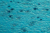 Rain drop on water pond. Free public domain CC0 image.
