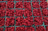 Red raspberries in boxes. Free public domain CC0 image. 