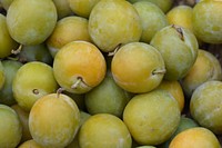 Pile of plum fruit. Free public domain CC0 photo.