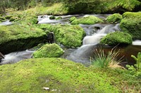 Beautiful waterfall. Free public domain CC0 photo.