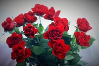 Red rose background. Free public domain CC0 photo.