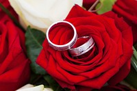 Wedding rings background, on red rose. Free public domain CC0 image.