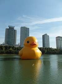 Giant inflatable rubber duck floating. Free public domain CC0 photo.