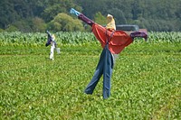 Scarecrow in green field during daytime. Free public domain CC0 image.