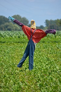 Scarecrow in green field during daytime. Free public domain CC0 image.