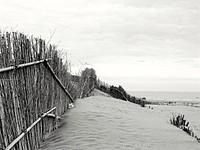 Beach, black and white photo. Free public domain CC0 image.