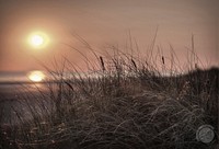 Golden light & sun set. Free public domain CC0 image
