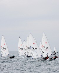 Laser class sailboat regatta. Free public domain CC0 photo.