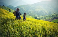 Terraced rice field, Location unknown, Date unknown.