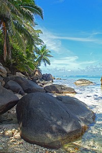 Seychelles island shore side view. Free public domain CC0 image.