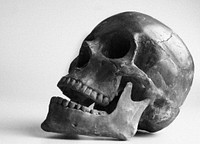 Human skull. Free public domain CC0 photo