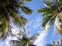 Beautiful beach background. Free public domain CC0 photo. 