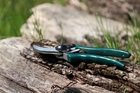 Pliers, gardening tool. Free public domain CC0 photo.