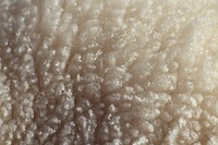 Close up sheep wool. Free public domain CC0 photo.