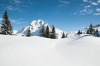 Snow covered trees on mountain. Free public domain CC0 image.