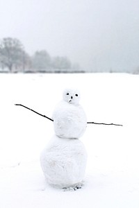 Funny snowman outside on winter day. Free public domain CC0 photo.
