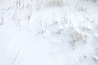 Closeup on ground covered in snow. Free public domain CC0 image. 