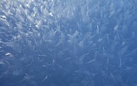 Closeup on ice crystals. Free public domain CC0 image. 