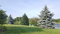 Beautiful nature background. Free public domain CC0 photo.