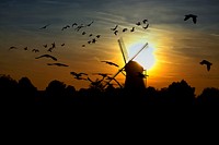 Windmill and birds at sunset. Free public domain CC0 image.