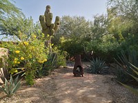 Cactus garden at the Hermosa Inn, a secluded hotel, restaurant, and lounge &mdash; or &ldquo;boutique hideaway&rdquo; in the words of its owners &mdash; in Paradise Valley, a well-to-do town outside Phoenix, Arizona.