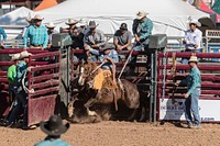 Saddle-bronc contest in Phoenix at the All-Indian Rodeo, a featured competition, open only to Native Americans with proof of tribal identification, at the annual Arizona State Fair, which has been held since 1884, eighteen years before statehood, when it was a territorial fair.