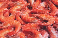Free delicious prawns image, public domain food CC0 photo.