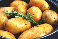 Free potatoes and rosemary in pot image, public domain vegetable CC0 photo.